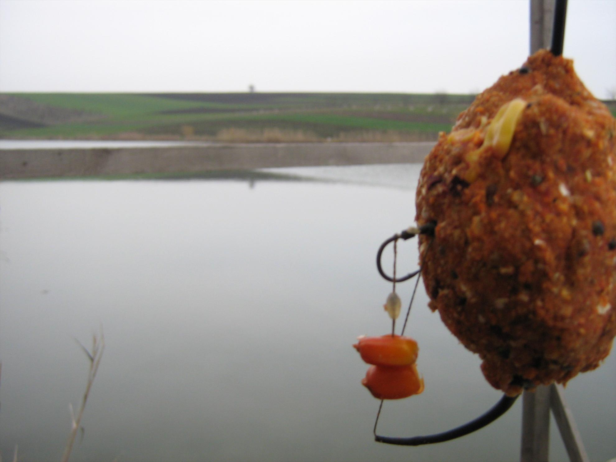 Magura 9 31 - 31 mar. - img0083.JPG